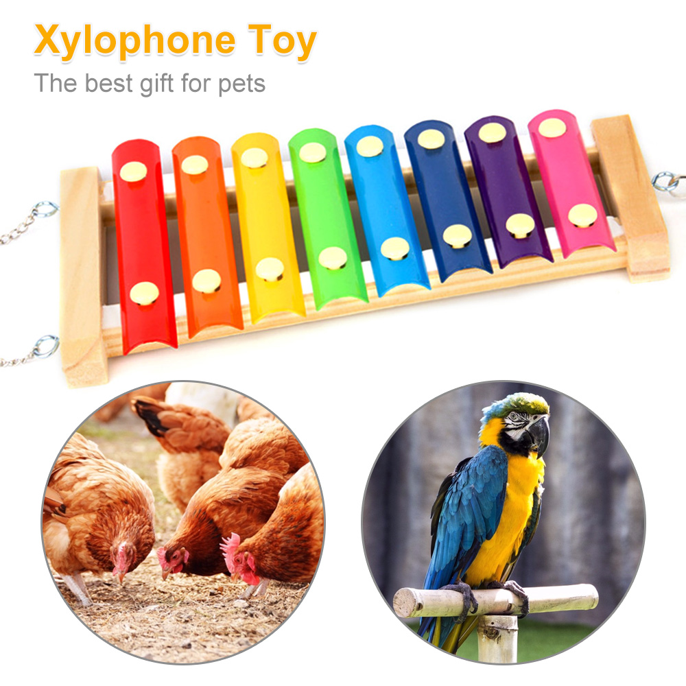Giocattolo xilofono per pollo  - Musical Instrument Harmonium recensione e prezzo