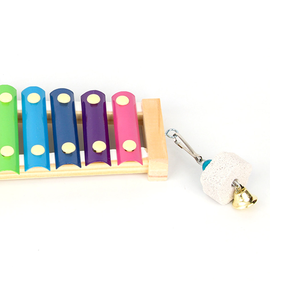 Giocattolo xilofono per pollo  - Musical Instrument Harmonium recensione e prezzo