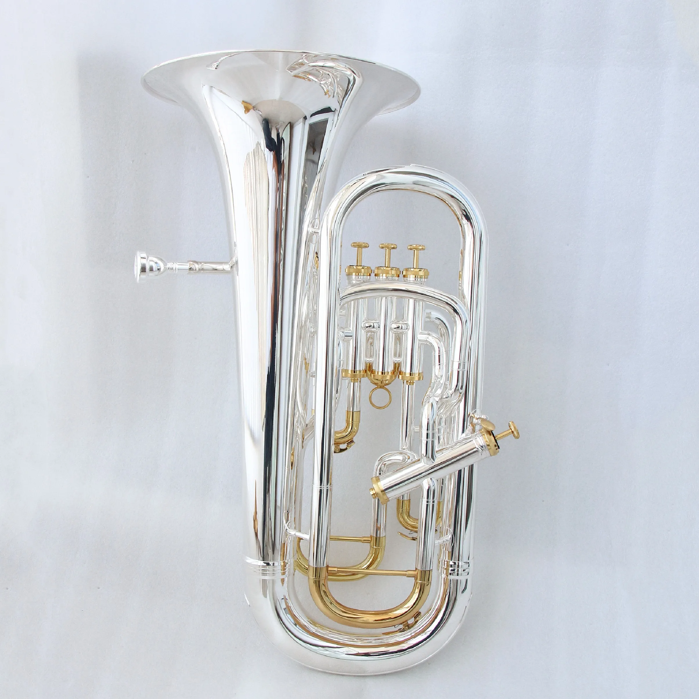 Strumenti Musicali: Euphonium  - Musical Instrument Euphonium recensione e prezzo