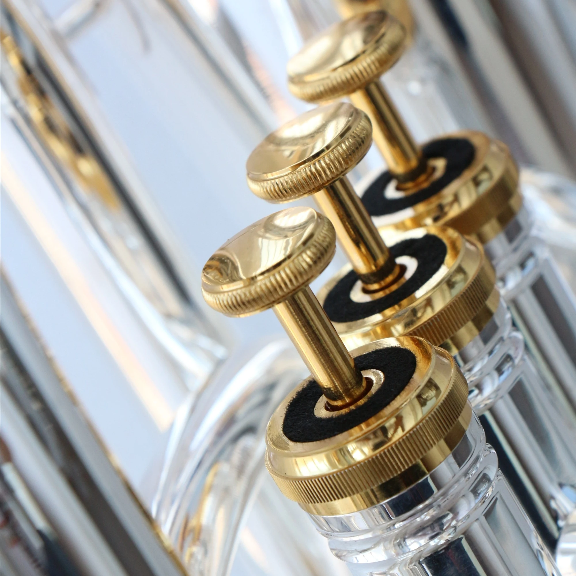 Strumenti Musicali: Euphonium  - Musical Instrument Euphonium recensione e prezzo