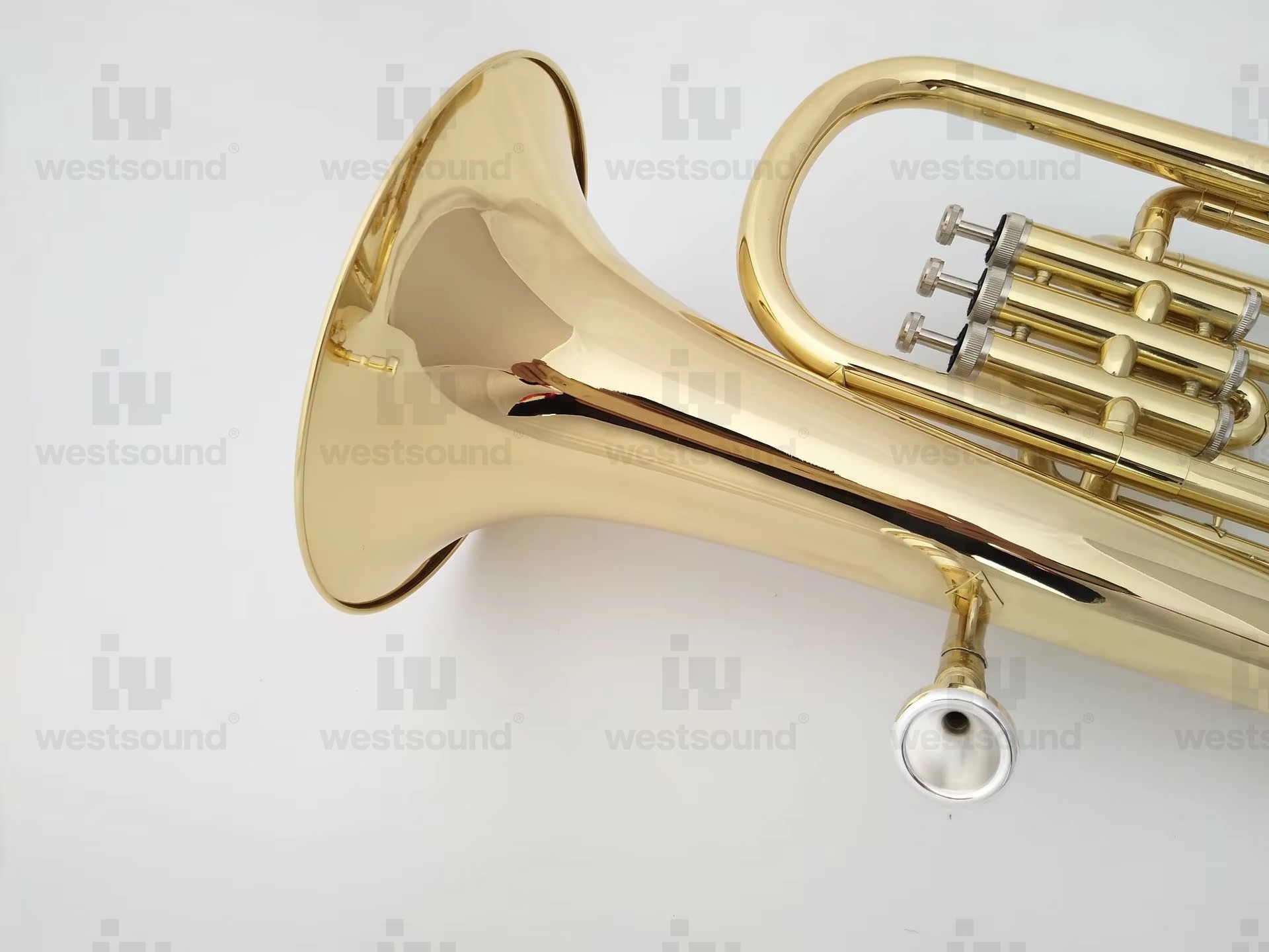 Eufonio Baritono in tonalità S - Musical Instrument Euphonium recensione e prezzo