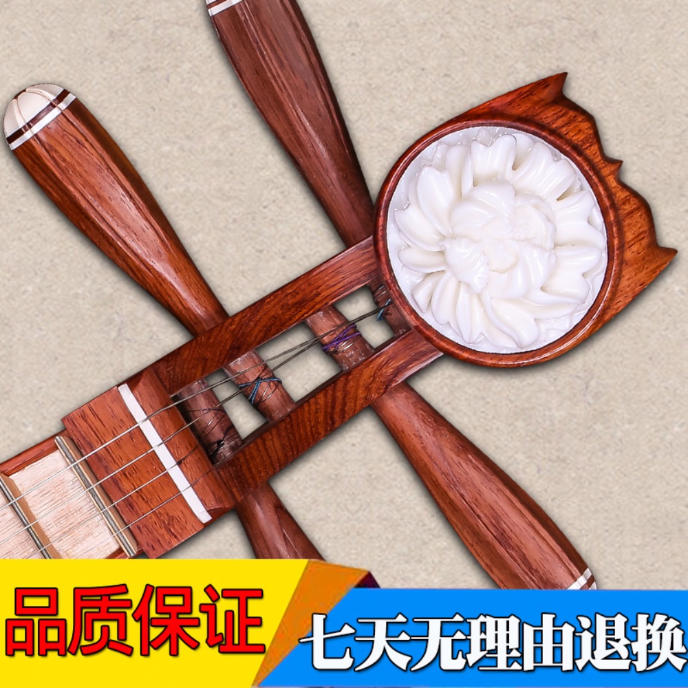 Beijing Xinghai 8414-A Liuqin  - Musical Instrument With A recensione e prezzo