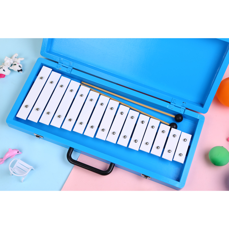 Glockenspiel Xilofono Elenco d - Musical Instrument Name recensione e prezzo