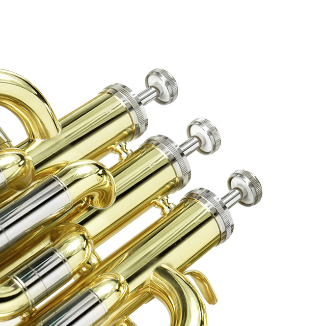Eufonio Compensato in Sib, Fin - Musical Instrument Euphonium recensione e prezzo