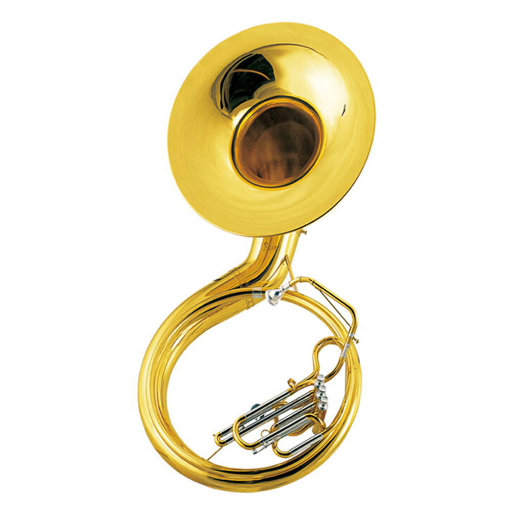 Tromba Sousafono in Ottone per - Musical Instrument Euphonium recensione e prezzo