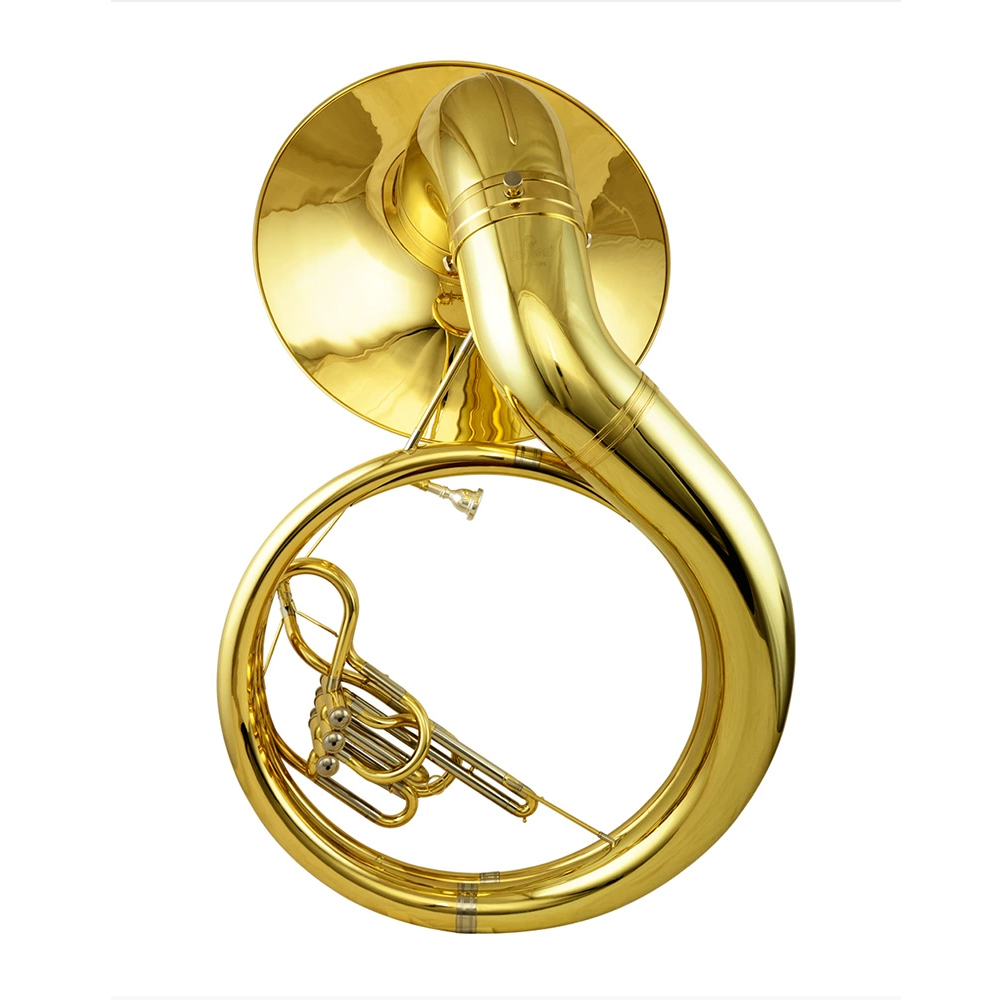 Tromba Sousafono in Ottone per - Musical Instrument Euphonium recensione e prezzo